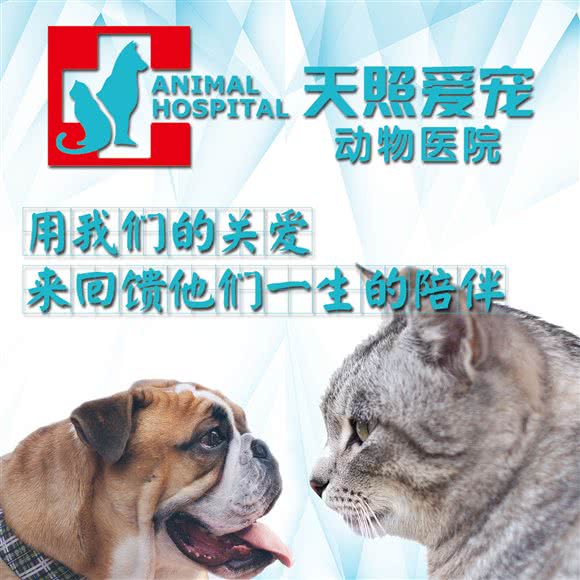 北京天照爱宠博兴动物医院(彩虹新城店):北京城区大兴区黄村附近