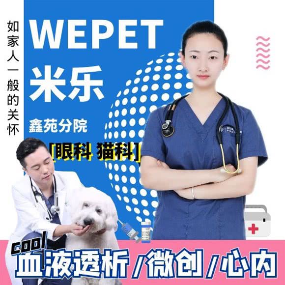 WEPET米乐动物医院(鑫苑分院):北京城区大兴区黄村附近