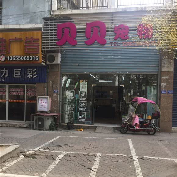 贝贝宠物:福州市福清市宏路街道附近