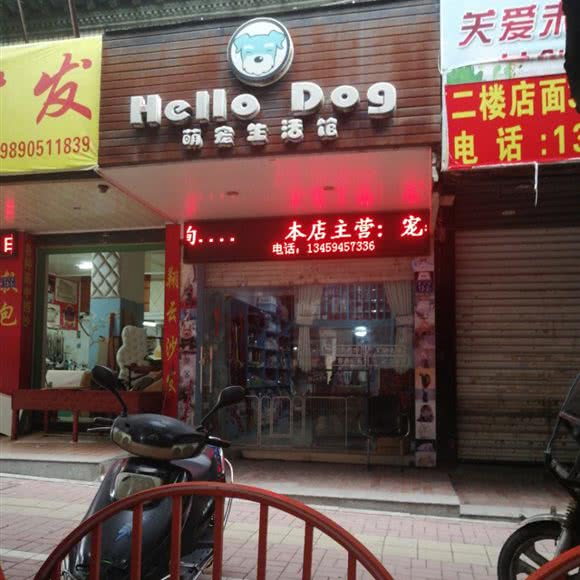 Hello Dog萌宠生活馆:福州市福清市音西街道附近