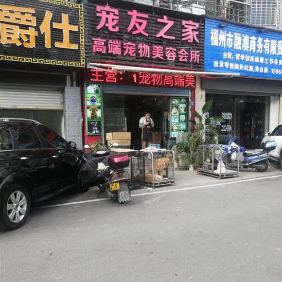 宠友之家高端宠物美容会所:福州市福清市音西街道附近