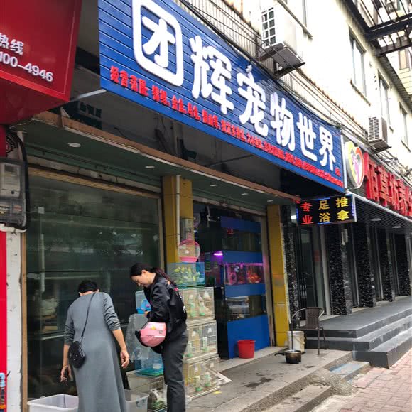 团辉宠物店:福州市福清市玉屏街道附近