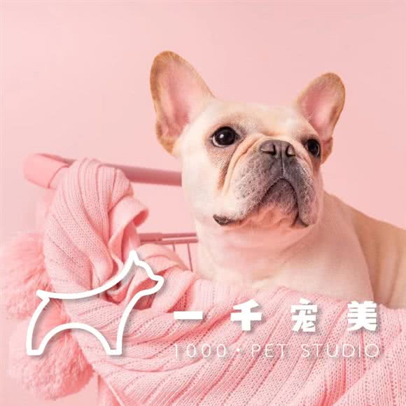 一千宠美:厦门市思明区禾祥西路沿线附近