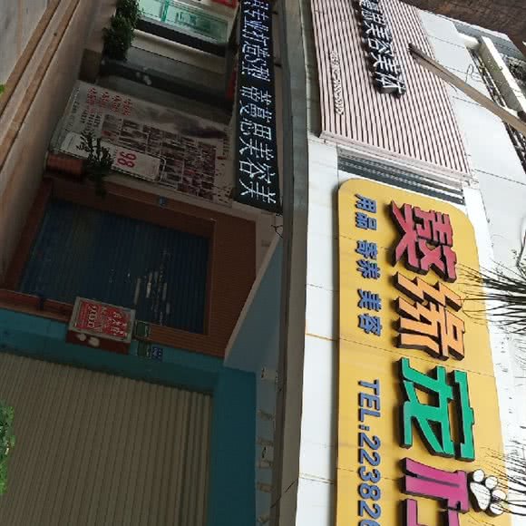 獒缘宠社:厦门市思明区禾祥西路沿线附近