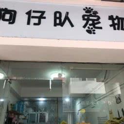 狗仔队宠物:厦门市思明区环岛路沿线附近