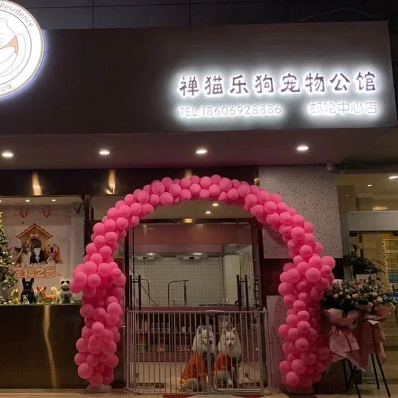 禅猫乐狗宠物公馆(邮轮中心店):厦门市思明区市政府附近