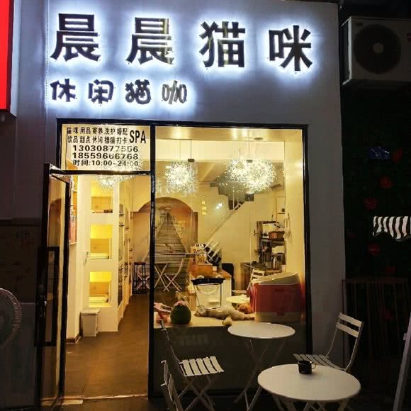 晨晨猫咪休闲猫咖:厦门市思明区嘉禾路附近