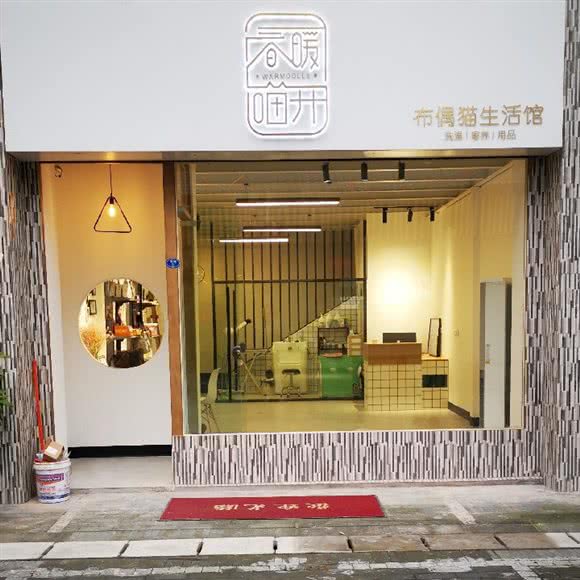春暖の喵开布偶猫生活馆:厦门市思明区火车站附近