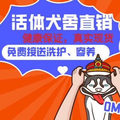 漫吉宠物生活馆(萌宠在售)(旧忠店):北京城区大兴区旧宫附近
