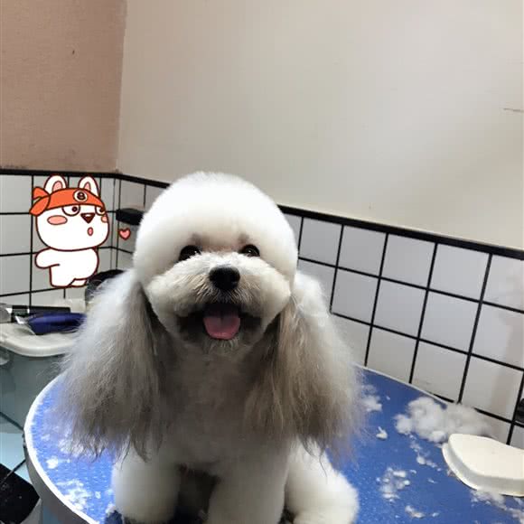 慢慢宠宠物健康管理中心(斗西店):厦门市思明区斗西路口附近