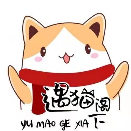 遇猫阁下:厦门市思明区中山公园附近