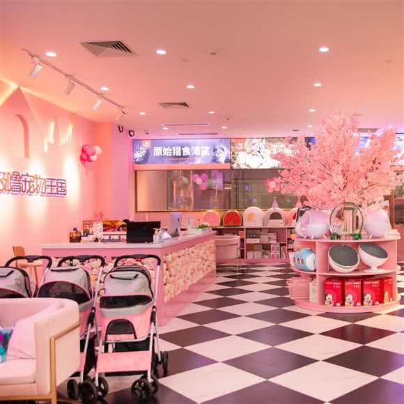 极极噜宠物王国(湾悦城店):厦门市湖里区五缘湾建发湾悦城附近