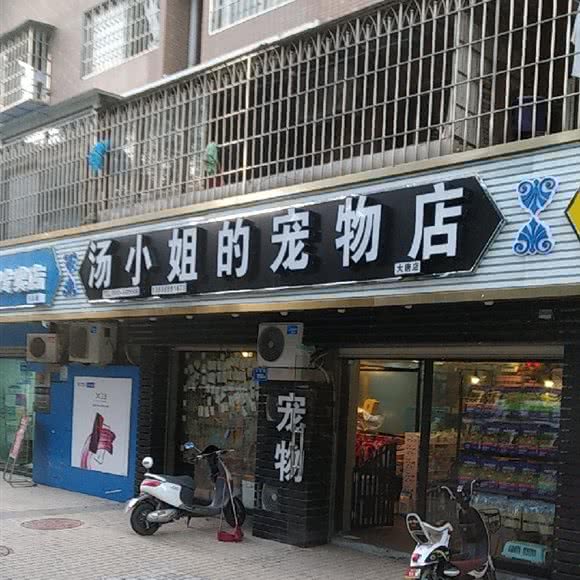 汤小姐的宠物店(大唐店):厦门市湖里区塘边附近