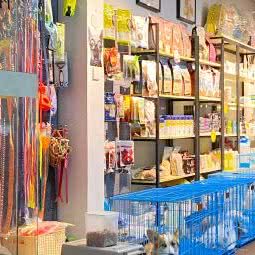 宠物联萌(金尚路店):厦门市湖里区金尚/祥店附近