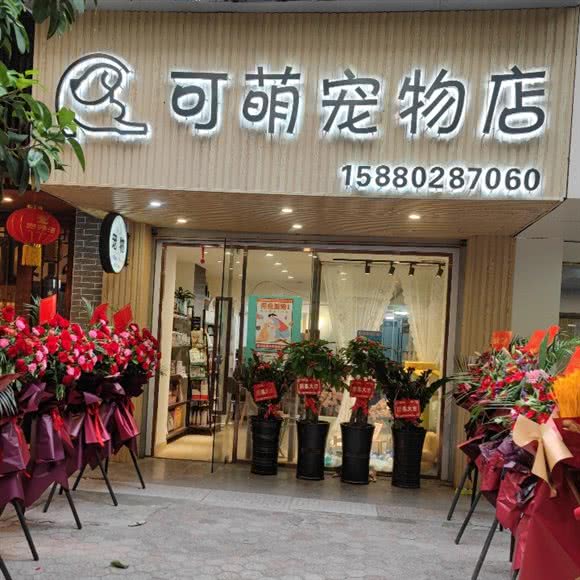 可萌宠物店:厦门市湖里区泰和花园附近