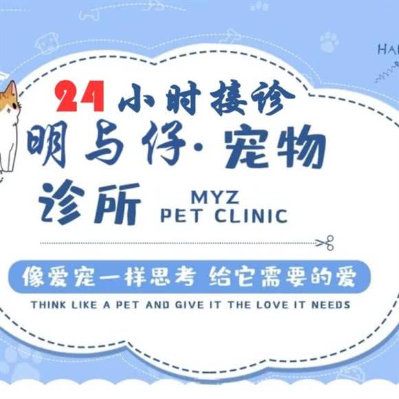 明与仔宠物医院:厦门市集美区厦门北站附近