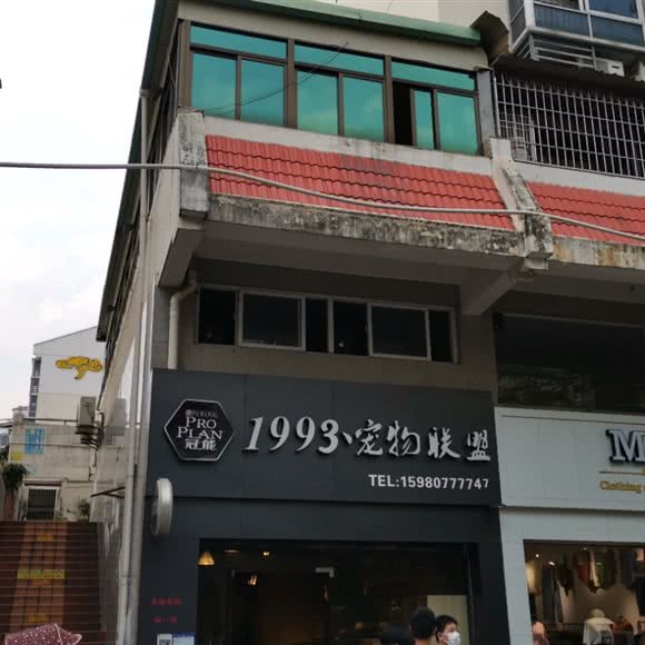 冠能1993丶宠物联盟:厦门市集美区灌口/凤泉广场附近
