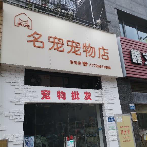 名宠宠物店(杏林店):厦门市集美区宁宝/杏东附近