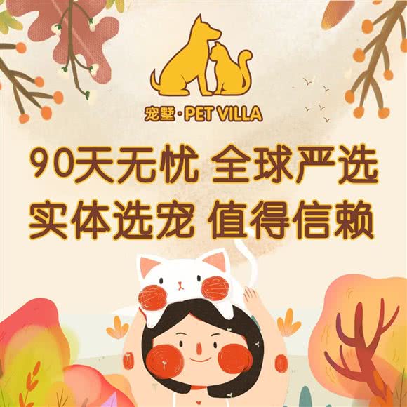 宠墅·杏林宠物乐园(宁宝世家总店):厦门市集美区宁宝/杏东附近