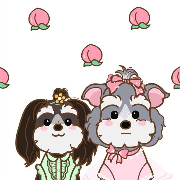蜜桃宠物 PEACH PET:厦门市集美区孙厝/集大附近
