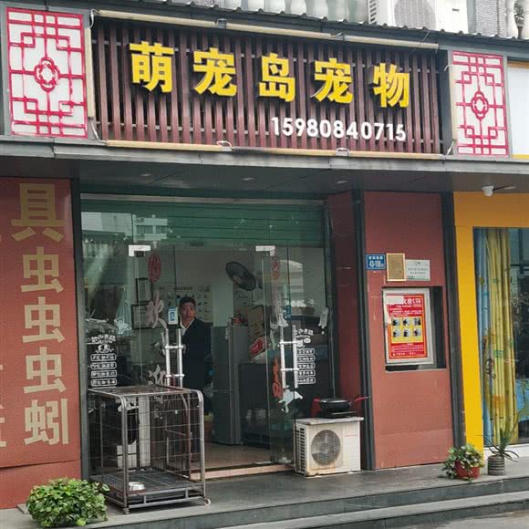 萌宠岛宠物:厦门市集美区杏南/月美池公园附近