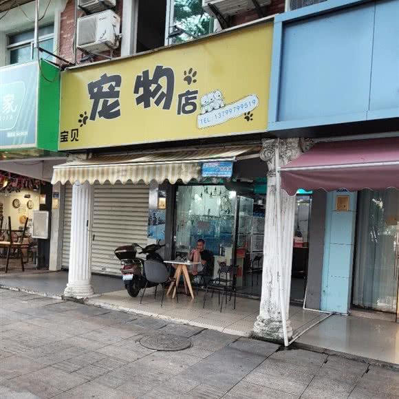 宝贝宠物店:厦门市同安区同安老城区/钟楼附近