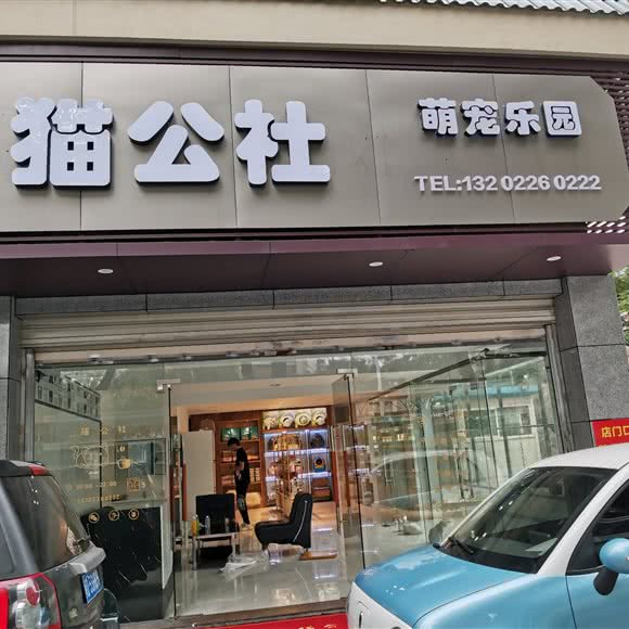猫公社:厦门市同安区乐海城市广场附近