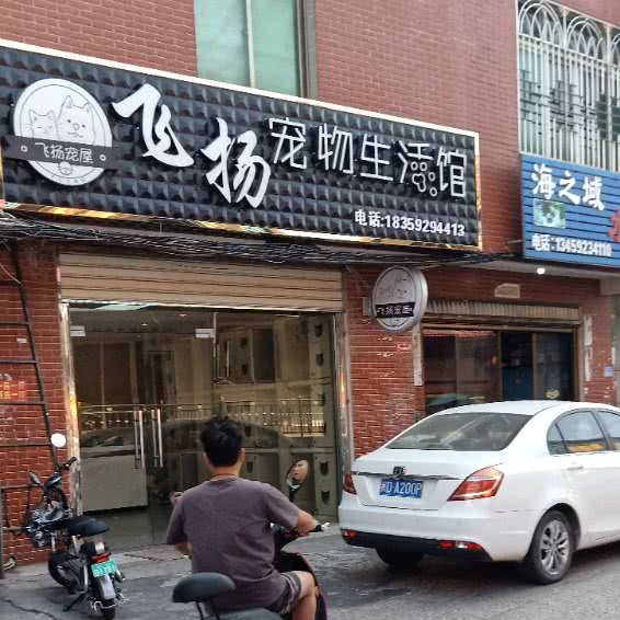 飞扬宠物生活馆:厦门市翔安区新店附近