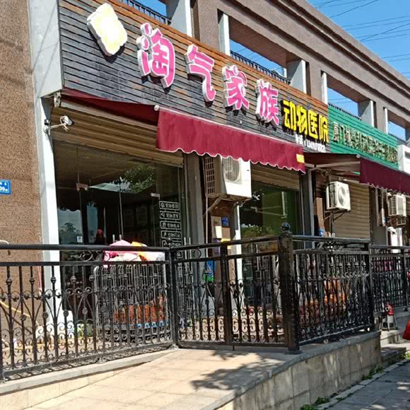 淘气家族:厦门市翔安区新店附近