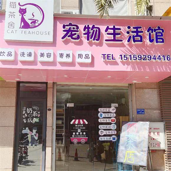 猫茶舍宠物生活馆:厦门市翔安区马巷附近