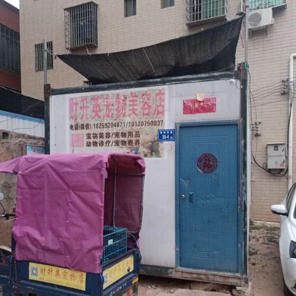 财升英宠物美容店:厦门市翔安区马巷附近