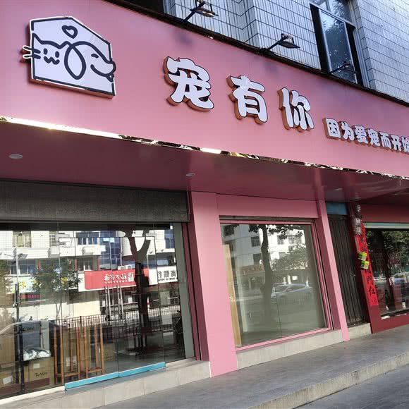 宠有你:莆田市城厢区荔城中大道附近