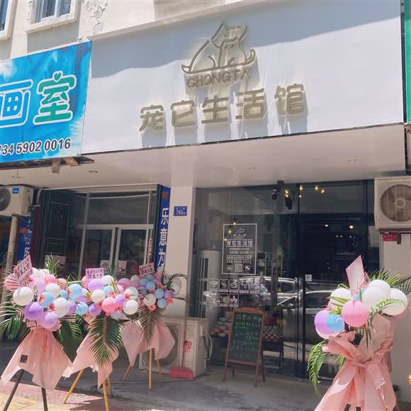 宠它生活馆:莆田市荔城区金鼎广场附近