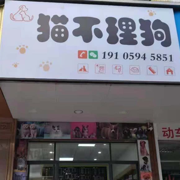 猫不理狗:莆田市荔城区文献步行街附近