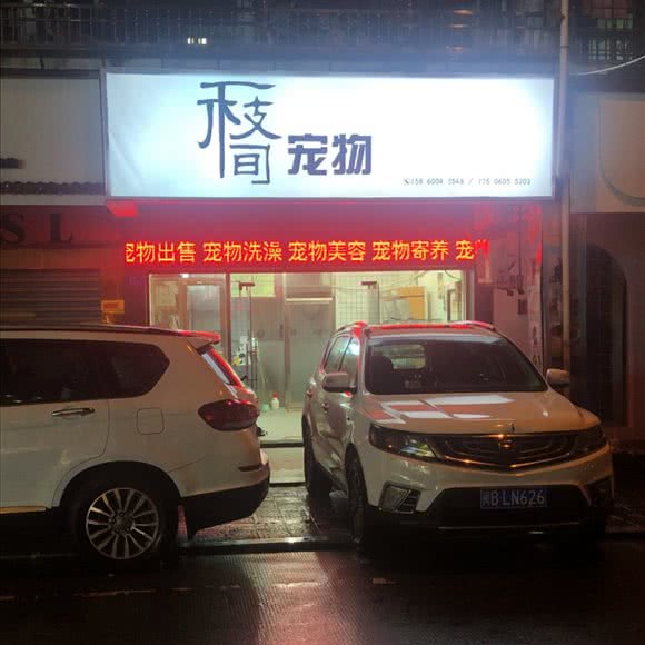 一枝间宠物:莆田市仙游县仙游县附近