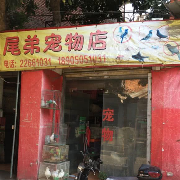 尾弟宠物店:泉州市鲤城区浮桥附近