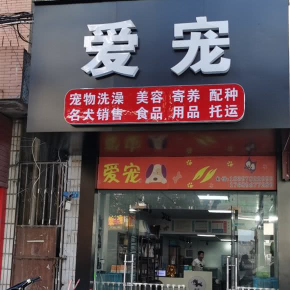 爱宠宠物服务中心(浮桥店):泉州市鲤城区浮桥附近