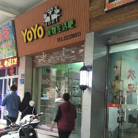 Yoyo宠物生活吧:泉州市鲤城区T淘园附近