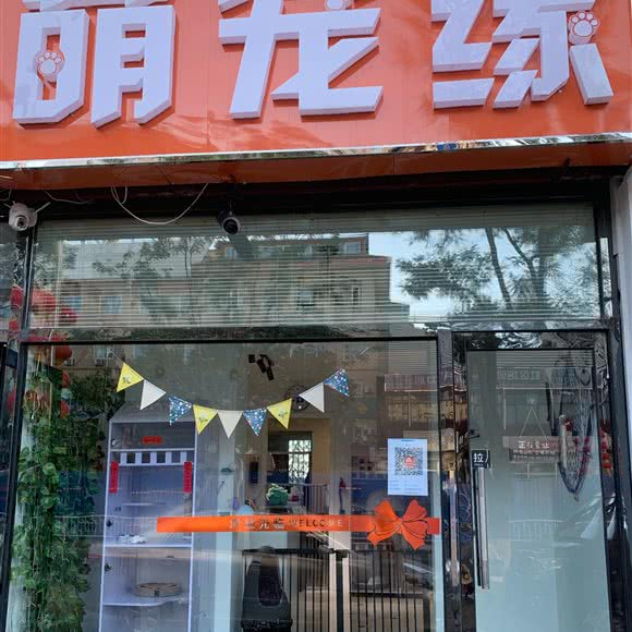 萌宠缘:北京城区怀柔区怀柔区附近