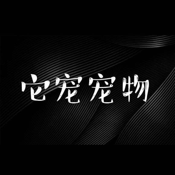 它们宠宠物:泉州市丰泽区泉秀路/星光不夜城附近