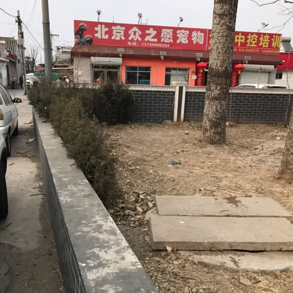 北京众之愿狗狗:北京城区怀柔区怀柔区附近
