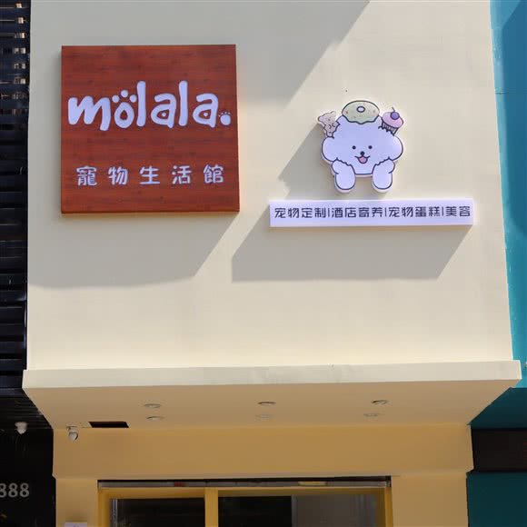 Molala狗狗生活馆:泉州市丰泽区田安路附近