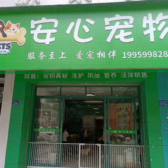 安心宠物:泉州市丰泽区田安路附近