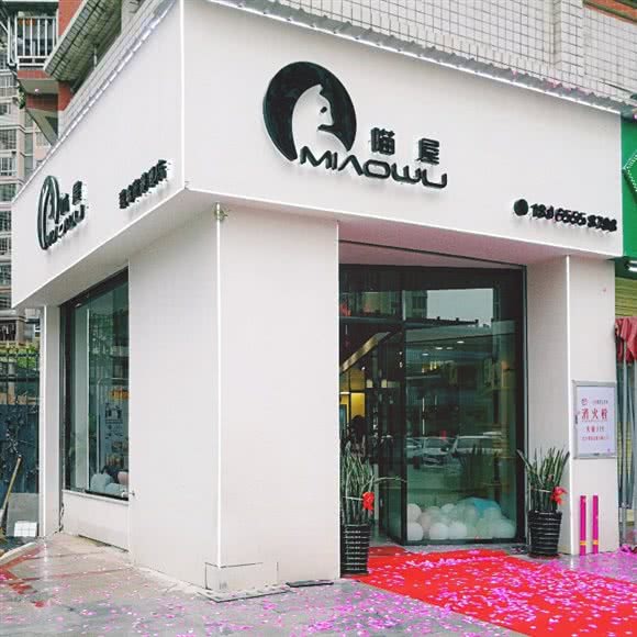 喵屋猫咪猫咖寄养宠物酒店:泉州市丰泽区宝洲路附近