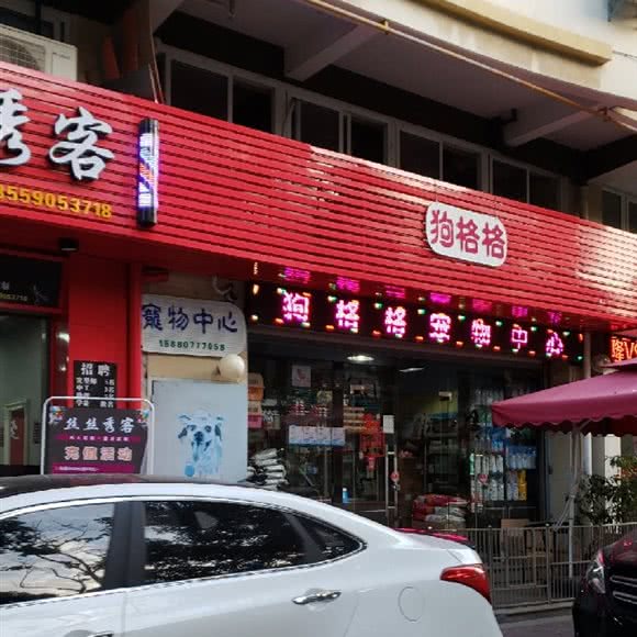 狗格格:泉州市丰泽区丰泽广场/丰泽街附近