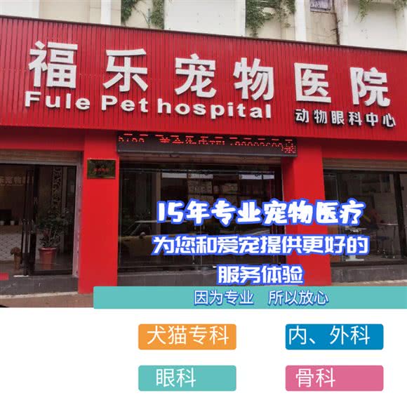 泉州福乐宠物医院:泉州市丰泽区刺桐路附近