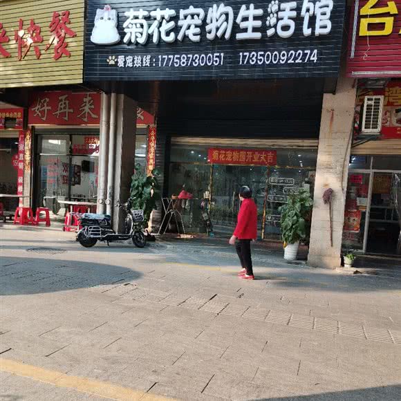 菊花宠物生活馆:泉州市洛江区洛江附近
