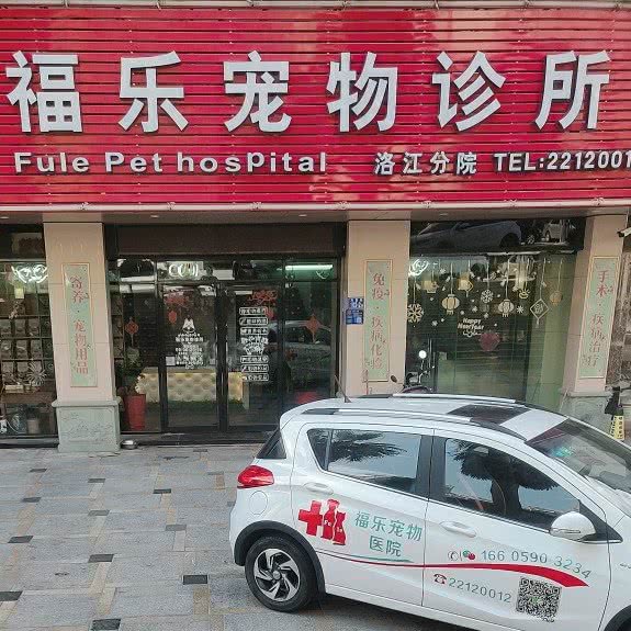 福乐狗狗诊所:泉州市洛江区洛江附近