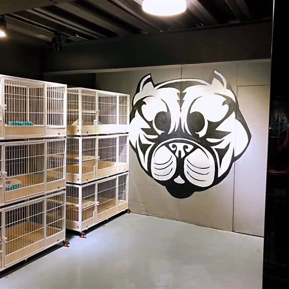 Corner.Pet角落宠物:泉州市石狮市湖滨街道附近