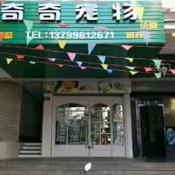 奇奇宠物狗:泉州市晋江市青阳街道附近